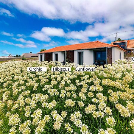 Ourmadeira - Quinta Inacia, Countryside Escape Lejlighed Calheta  Eksteriør billede