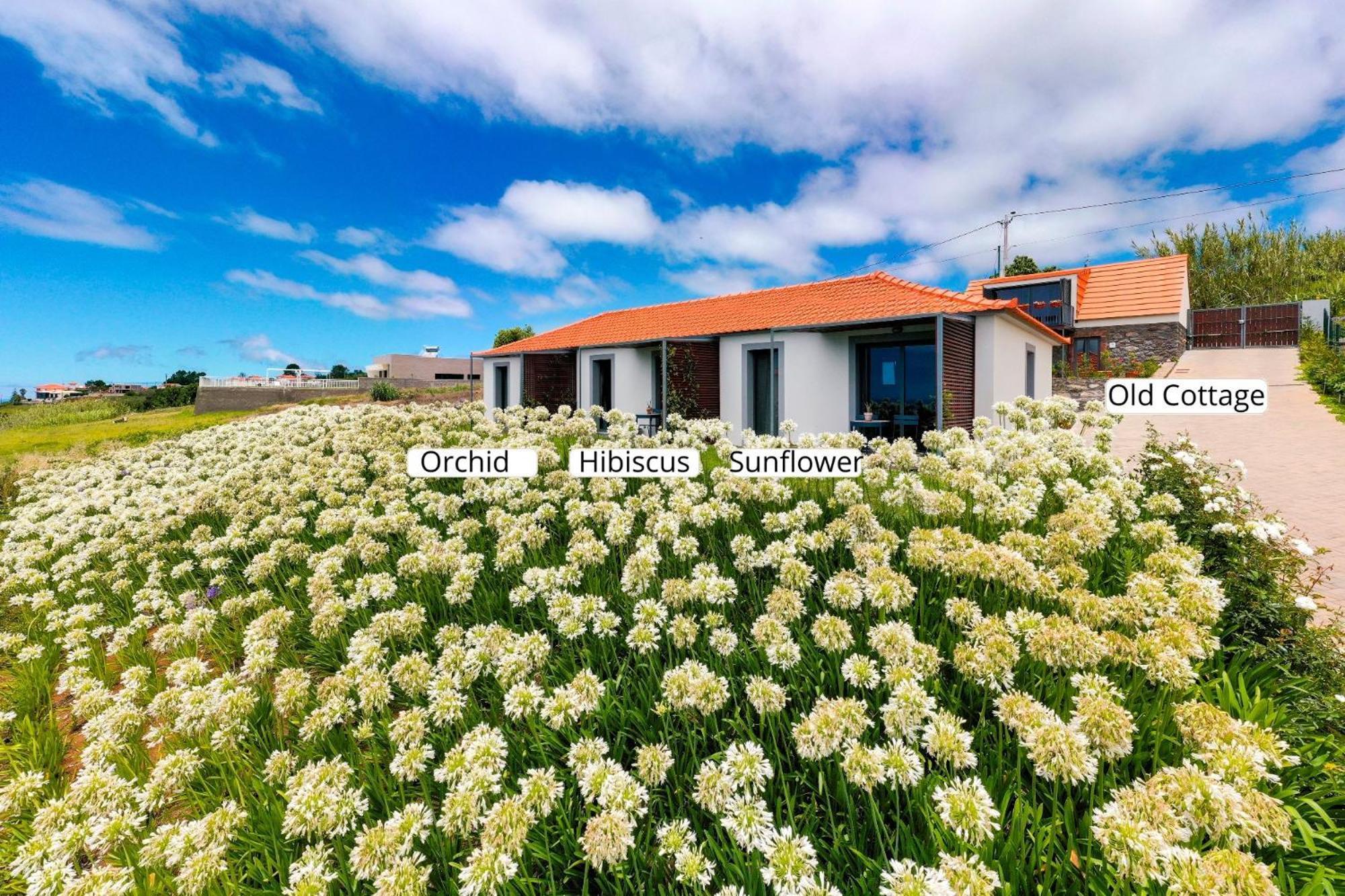Ourmadeira - Quinta Inacia, Countryside Escape Lejlighed Calheta  Eksteriør billede